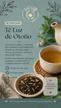 Luz de otoño