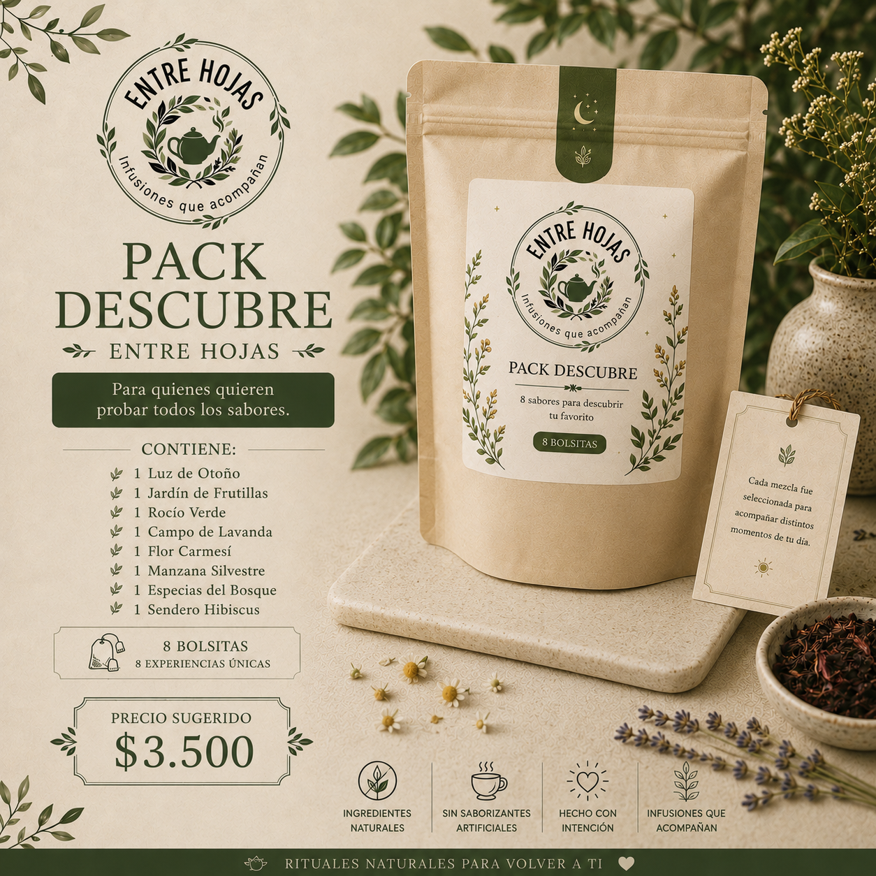 Pack descubre